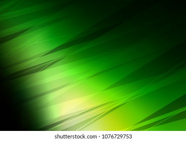 Dark Green vector natural elegant pattern. Glitter abstract illustration with doodles and Zen tangles. Brand new design for your business.