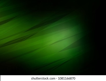 Dark Green vector natural elegant background. Decorative shining illustration with doodles on abstract template. The template can be used as a background for cell phones.
