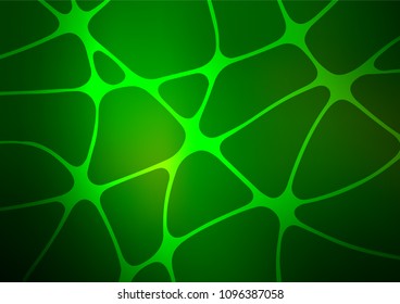 Dark Green vector natural elegant template. Shining colored illustration with doodles in Zen tangle style. Hand painted design for web, leaflet, textile.