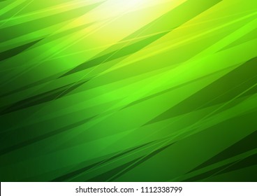Dark Green vector natural elegant background. Ethnic elegant natural pattern with gradient. The elegant pattern can be used as a part of a brand book.
