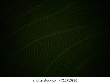 Dark Green vector natural elegant template. A vague abstract illustration with doodles in Indian style. The best blurred design for your business.