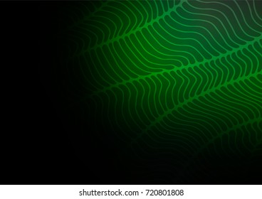 Dark Green vector natural elegant background. Modern geometrical abstract illustration with doodles. A completely new template for your business design.