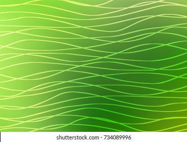 Dark Green vector natural elegant texture. Glitter abstract illustration with doodles and Zen tangles. The pattern can be used for coloring books and pages for kids.