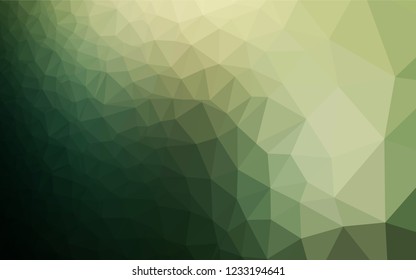 Dark Green vector polygon abstract backdrop. Glitter abstract illustration with an elegant design. The completely new template can be used for your brand book.