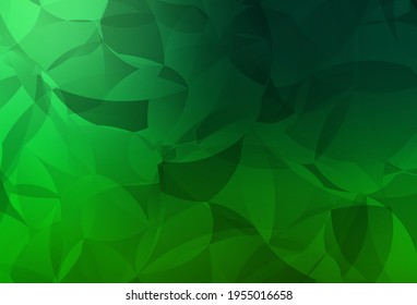 Plantilla poligonal vector verde oscuro. Ilustración abstracta moderna con triángulos. Diseño poligonal para su sitio web.