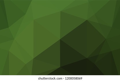 Dark Green vector shining hexagonal template. Glitter abstract illustration with an elegant design. The textured pattern can be used for background.