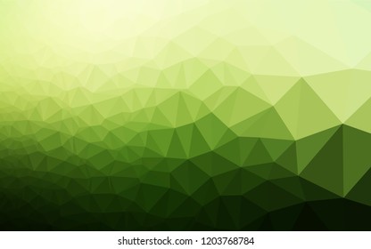 Dark Green vector shining hexagonal template. Shining colored illustration in a Brand new style. The completely new template can be used for your brand book.