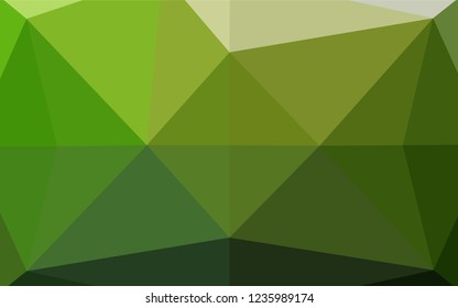 Dark Green vector shining hexagonal template. Glitter abstract illustration with an elegant design. The completely new template can be used for your brand book.