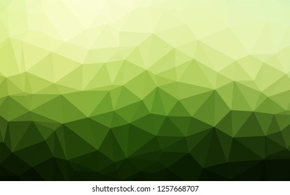 Dark Green vector shining hexagonal background. Shining illustration, which consist of triangles. Brand new design for your business.