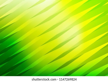 Dark Green vector texture with colored lines. Decorative shining illustration with lines on abstract template. The pattern can be used for busines ad, booklets, leaflets