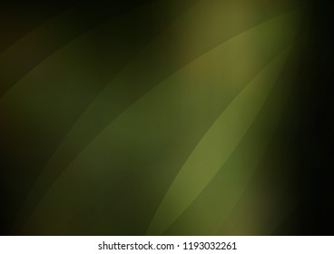 Dark Green vector texture with colored lines. Lines on blurred abstract background with gradient. The template can be used as a background.