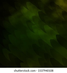 Dark Green vector texture with lines. Geometric abstract illustration with blurred lines. Pattern for websites, landing pages.
