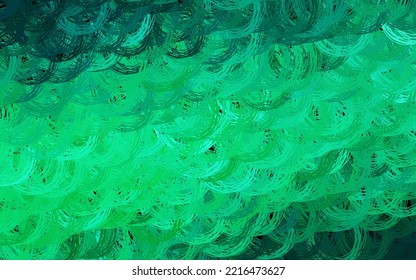 Dark Green vector texture with wry lines. Colorful gradient illustration in simple style with lines. A sample for your ideas.