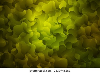 Dark Green vector texture with wry lines. Colorful geometric sample with gradient lines.  A sample for your ideas.
