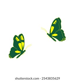 Dark green and yellow butterfly isolated on a white background