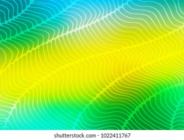 Dark Green, Yellow vector abstract doodle texture. Modern geometrical abstract illustration with doodles. Brand-new design for your business.