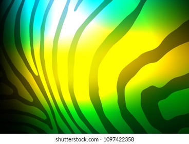 Dark Green, Yellow vector abstract doodle background. Modern geometrical abstract illustration with doodles. A completely new template for your business design.