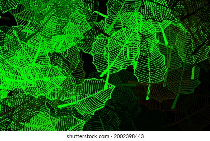 Green oscuro, diseño abstracto de vector amarillo con hojas. Ilustración con garabatos en plantilla abstracta. El mejor diseño para su negocio.