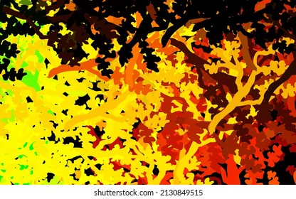 Dark Green, Yellow vector abstract background with leaves, branches. Shining colored illustration with leaves and branches. Pattern for wallpapers, coloring books.