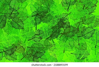 Dark Green, Yellow vector abstract backdrop with leaves. Glitter abstract illustration with doodles and leaves. Hand painted design for web, wrapping.