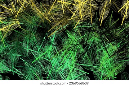 Verde oscuro, diseño abstracto vector amarillo con flores, hojas. Doodles sobre fondo blanco. Patrón texturizado para sitios web, banners.
