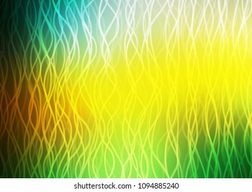 Dark Green, Yellow vector background with bubble shapes. Glitter abstract illustration with wry lines. Brand new design for your ads, poster, banner.