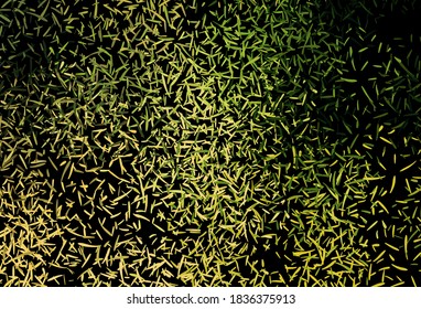 Dark Green, Yellow vector background with stright stripes. Modern geometrical abstract illustration with Lines. Smart design for your business advert.