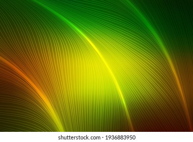 Dark Green, Yellow vector background with wry lines. Colorful abstract illustration with gradient lines. Pattern for your business design.