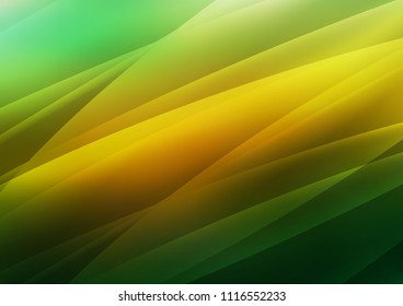 Dark Green, Yellow vector cover with long lines. Shining colored illustration with narrow lines. The pattern can be used for websites.