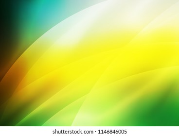 Dark Green, Yellow vector cover with long lines. Glitter abstract illustration with colored sticks. The pattern can be used for websites.