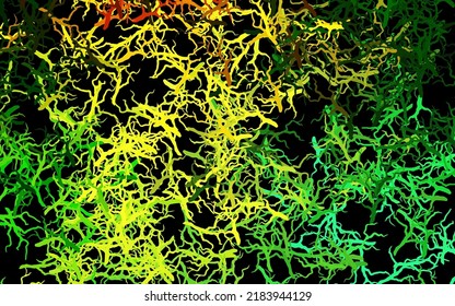 Dark Green, Yellow vector doodle template with branches, leaves. Leaves and branches with gradient on white background. New template for your brand book.