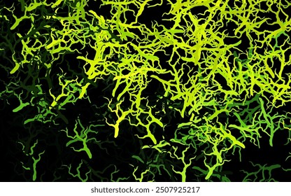 Verde oscuro, patrón de doodle de Vector amarillo con ramas, hojas. Ilustración con garabatos en Plantilla abstracta. Patrón colorido para los libros de los niños.