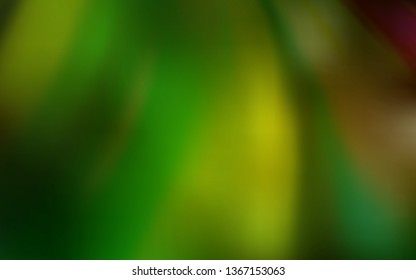 Dark Green, Yellow vector glossy abstract backdrop. Colorful abstract illustration with gradient. The best blurred design for your business.