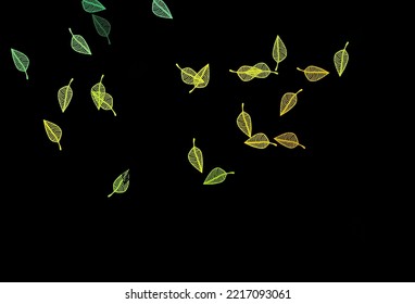Dark Green, Yellow vector hand painted texture. Creative illustration in simple style with leaves. Completely new design for your business.