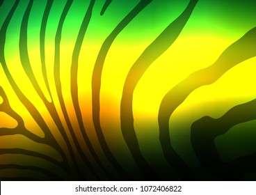 Dark Green, Yellow vector indian curved template. Colorful illustration in abstract style with doodles and Zen tangles. The completely new template can be used for your brand book.