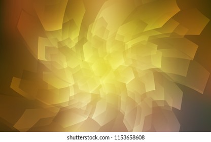 Dark Green, Yellow vector layout with hexagonal shapes. Illustration of colored hexagons on white surface. Pattern can be used for landing pages.