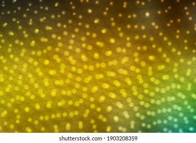 Dark Green, Yellow vector layout with circle shapes. Glitter abstract illustration with blurred drops of rain. Pattern for beautiful websites.