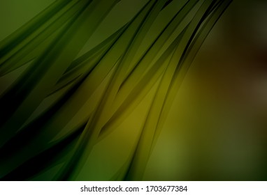 Dark Green, Yellow vector modern elegant background. Colorful illustration in abstract style with gradient. Background for a cell phone.