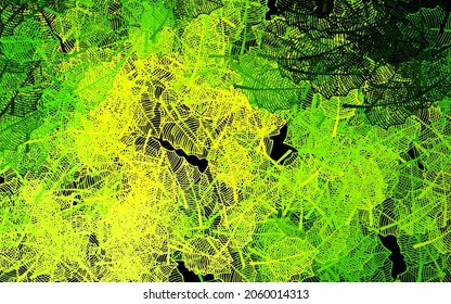 Dark Green, Yellow vector natural artwork with leaves. Creative illustration in blurred style with leaves, flowers. Colorful pattern for kid's books.