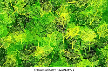 Dark Green, Yellow vector natural pattern with leaves. Colorful abstract illustration with leaves in doodle style. A new texture for your wallpaper design.
