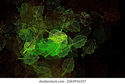 Dark Green, Yellow vector natural pattern with leaves. Modern abstract illustration with leaves and flowers. The best design for your business.