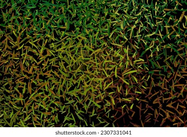 Dark Green, Yellow vector pattern with sharp lines. Lines on blurred abstract background with gradient. Best design for your ad, poster, banner.