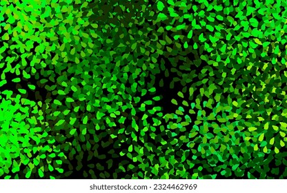 Dark Green, Yellow vector pattern with random forms. Colorful chaotic forms with gradient in modern style. Simple design for your web site.