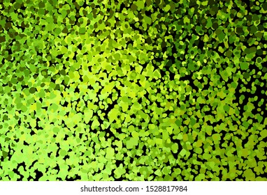 Dark Green, Yellow vector texture with abstract forms. Illustration with colorful gradient shapes in abstract style. Best smart design for your business.