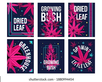 Dark greeting card designs with marihuana pink leaves. Colorful ganja postcards with text and bright hemp leaves. Cannabis and legal drug concept. Template for promotional postcard or brochure