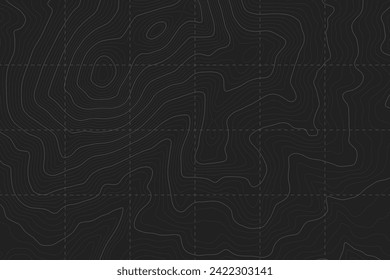 Dark Grey Military Topographic Contour Map Vector Graphic Abstract Background. Topography Wavy Lines Pattern Modern Wallpaper. Outline Terrain Relief Cartography Geographical Map Art Illustration