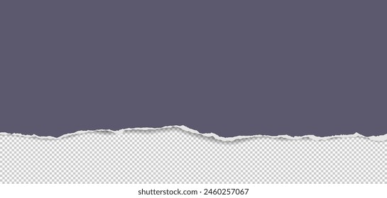 Dark grey paper strip with torn edge and soft shadow is on squared background for text or ad. Vector illustration.