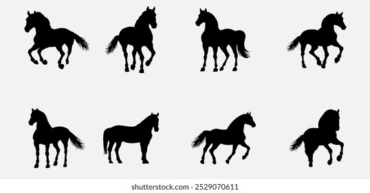 Dark Horse Elegance Shilhouette vector