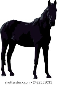 Dark Horse EPS Format Vector File