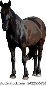 Dark Horse EPS Format Vector File